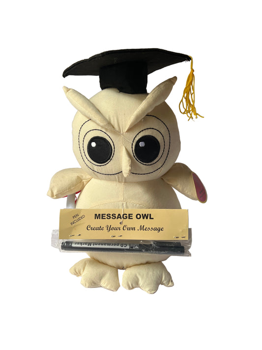 Message Owl